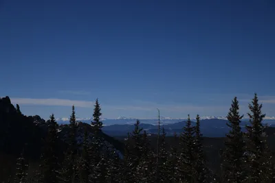 DSC_4959 (Large).JPG